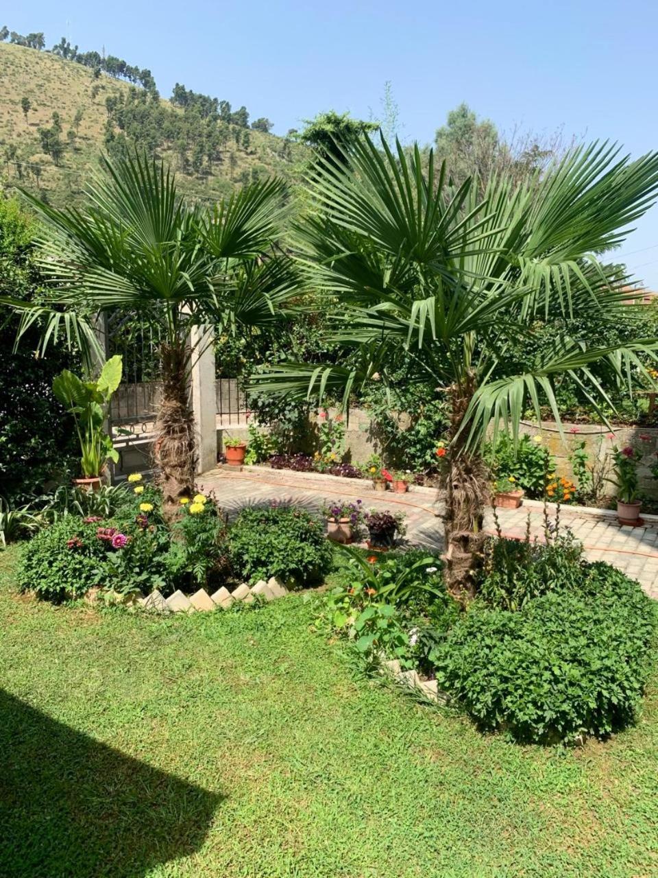Villa With Garden And Veranda Berat Ngoại thất bức ảnh